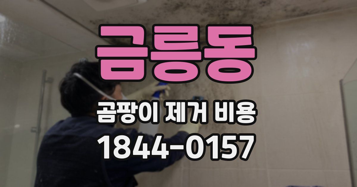 금릉동 곰팡이 제거 비용