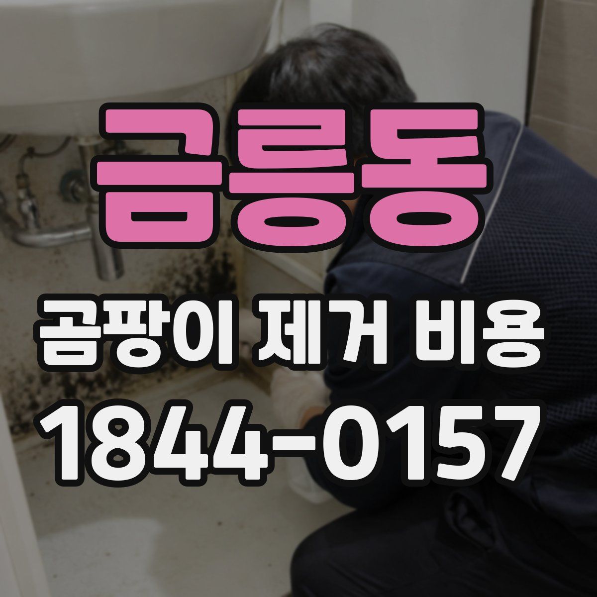 금릉동 곰팡이 제거 비용
