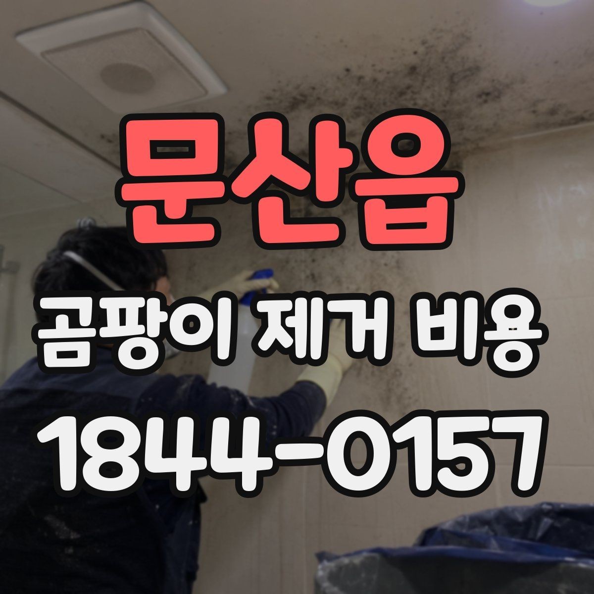 문산읍 곰팡이 제거 비용 견적서에서 확인할 세부 내역