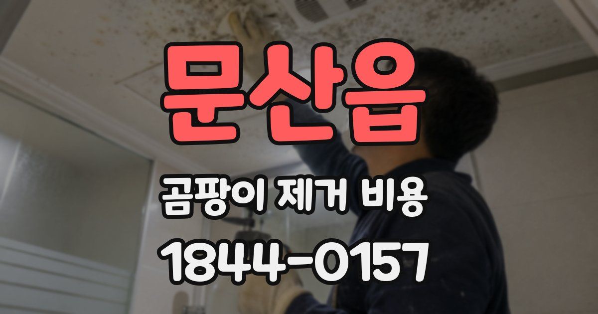 문산읍 곰팡이 제거 비용