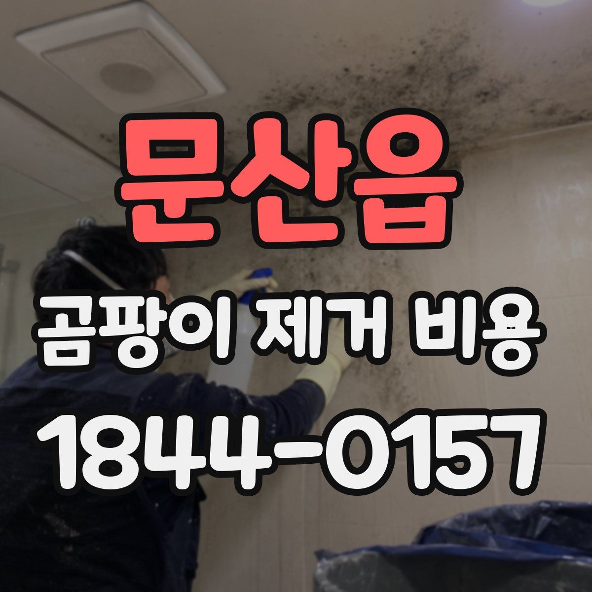 문산읍 곰팡이 제거 비용