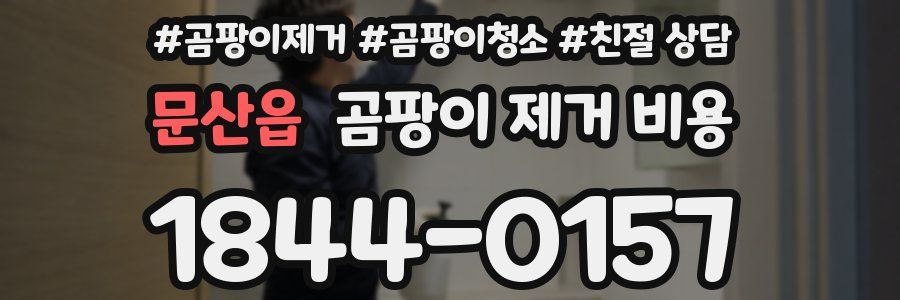 문산읍 곰팡이 제거 비용