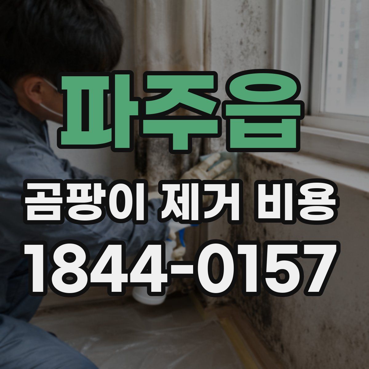 파주읍 곰팡이 제거 비용