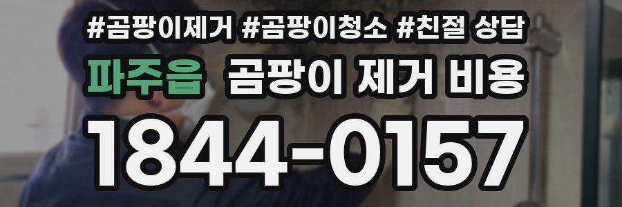 파주읍 곰팡이 제거 비용