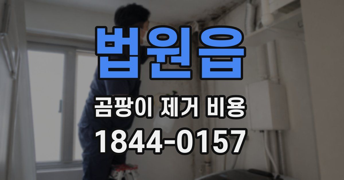 법원읍 곰팡이 제거 비용