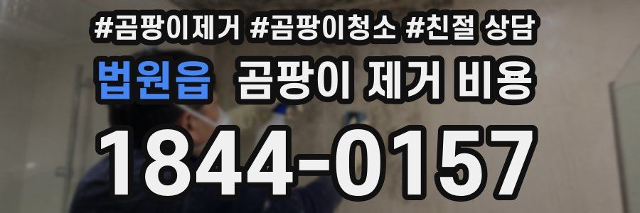 법원읍 곰팡이 제거 비용