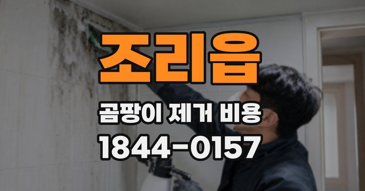 조리읍 곰팡이 제거 비용