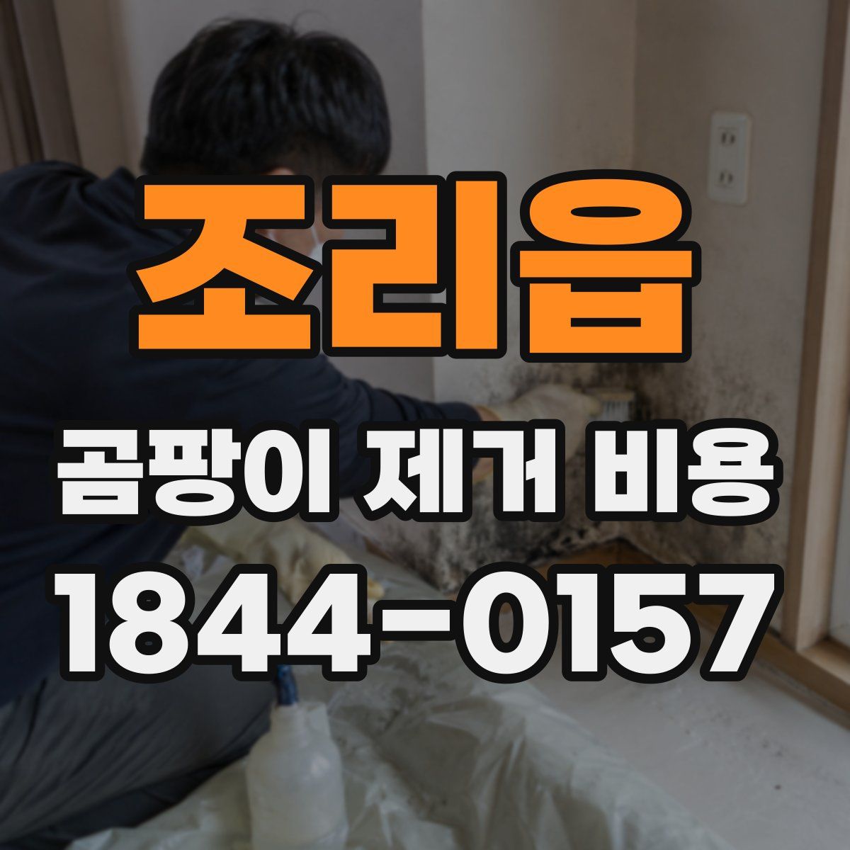 조리읍 곰팡이 제거 비용