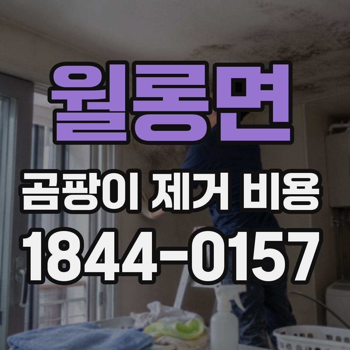 월롱면 곰팡이 제거 비용 견적 받을 때 살펴볼 항목