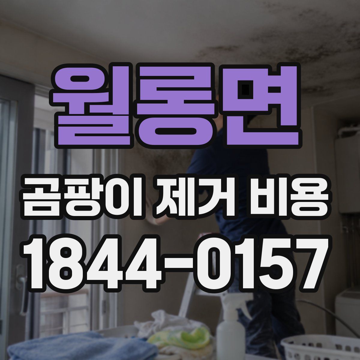 월롱면 곰팡이 제거 비용