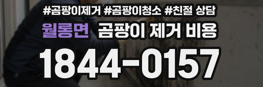 월롱면 곰팡이 제거 비용