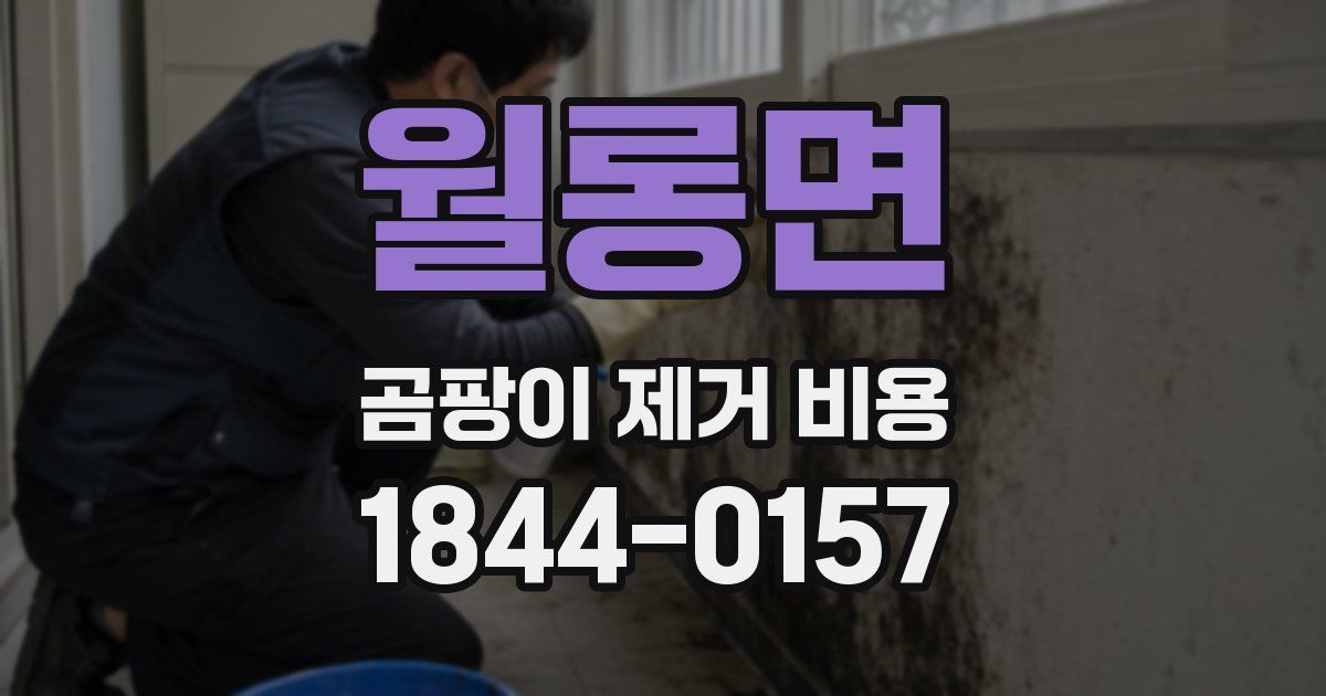 월롱면 곰팡이 제거 비용