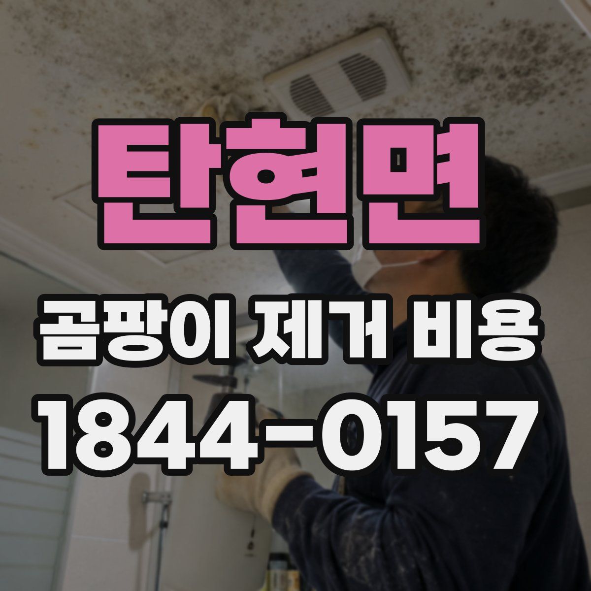 탄현면 곰팡이 제거 비용