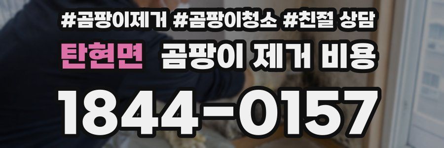 탄현면 곰팡이 제거 비용