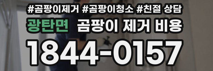 광탄면 곰팡이 제거 비용