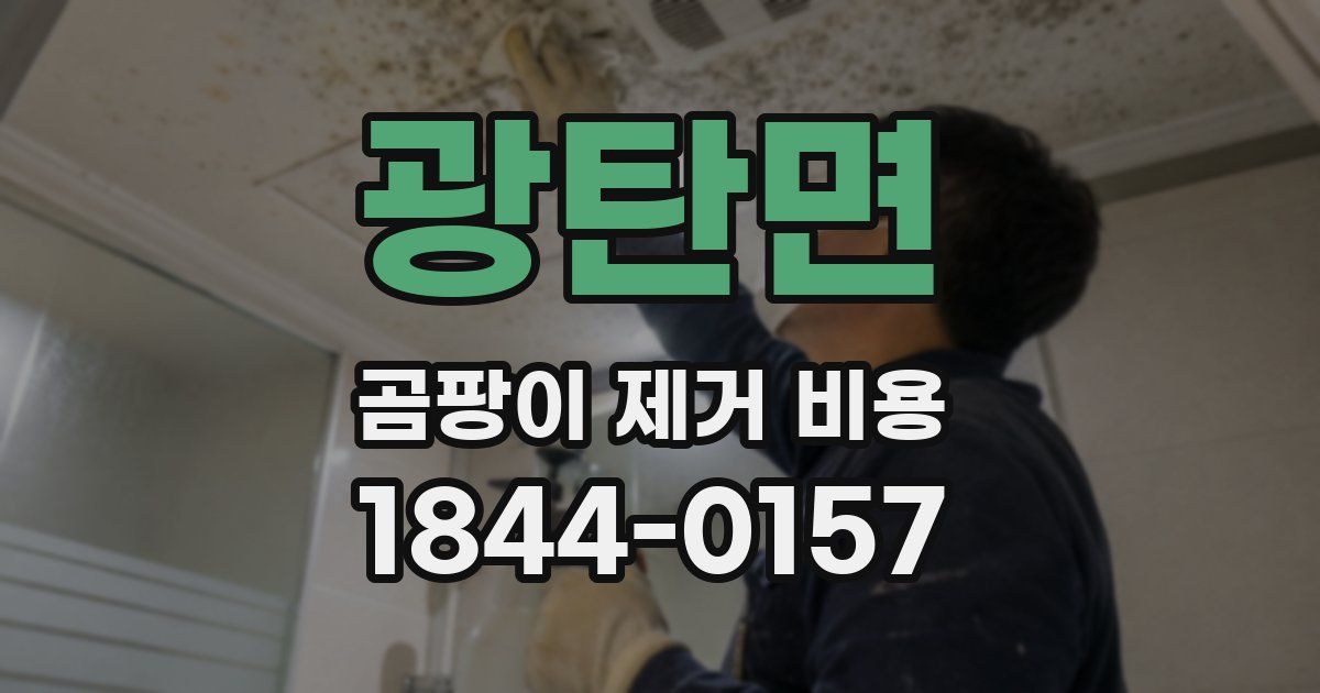광탄면 곰팡이 제거 비용