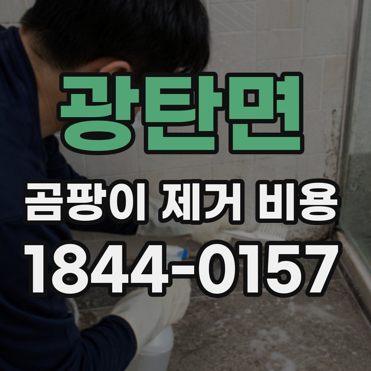 광탄면 곰팡이 제거 비용