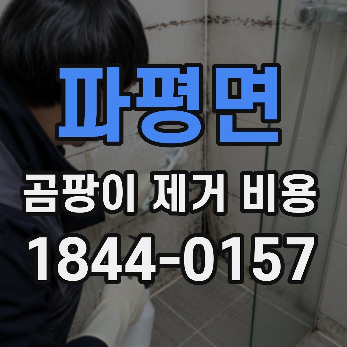 파평면 곰팡이 제거 비용 결로와 누수에 따른 접근 방법