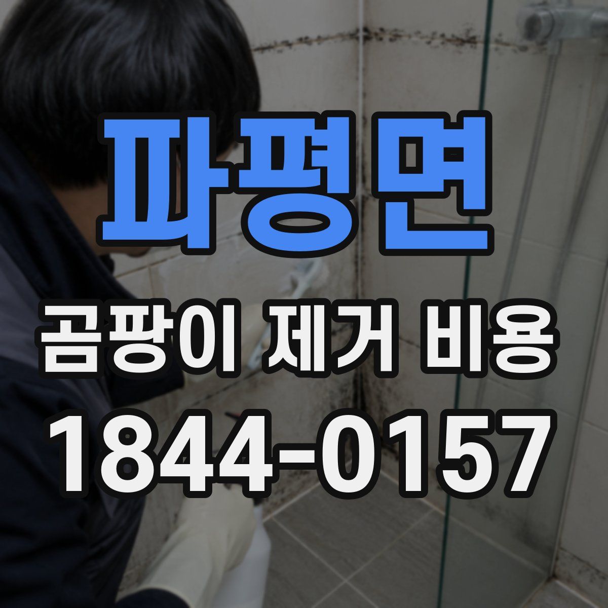 파평면 곰팡이 제거 비용