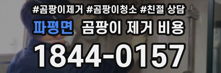 파평면 곰팡이 제거 비용