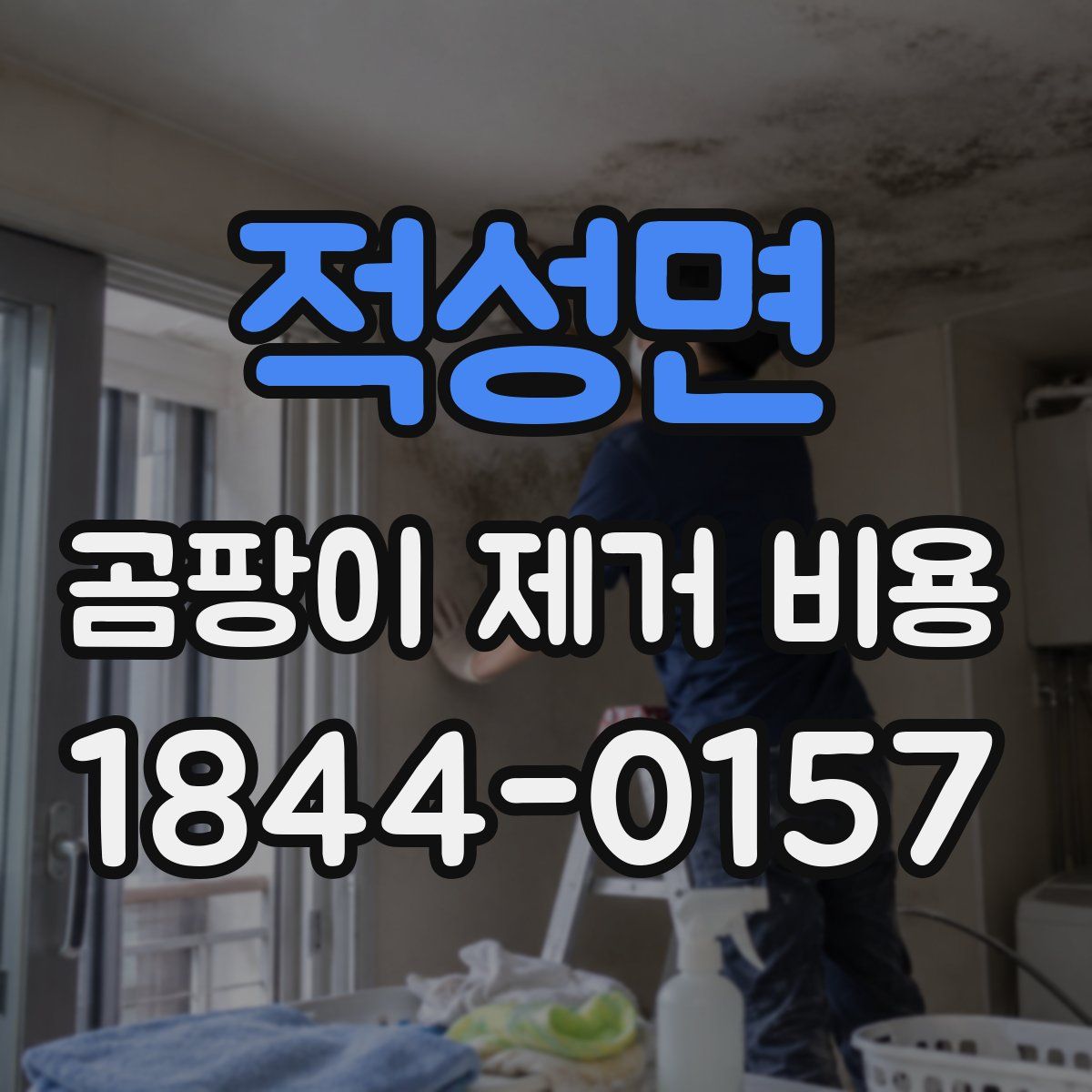 적성면 곰팡이 제거 비용