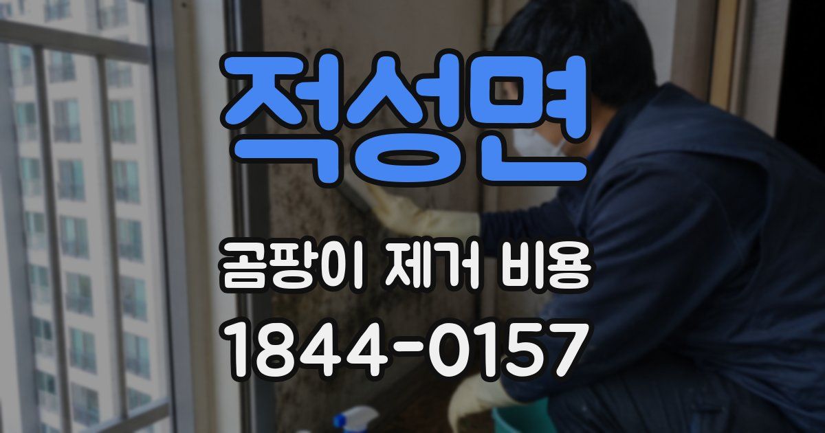 적성면 곰팡이 제거 비용