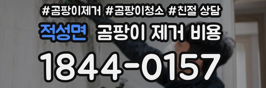 적성면 곰팡이 제거 비용