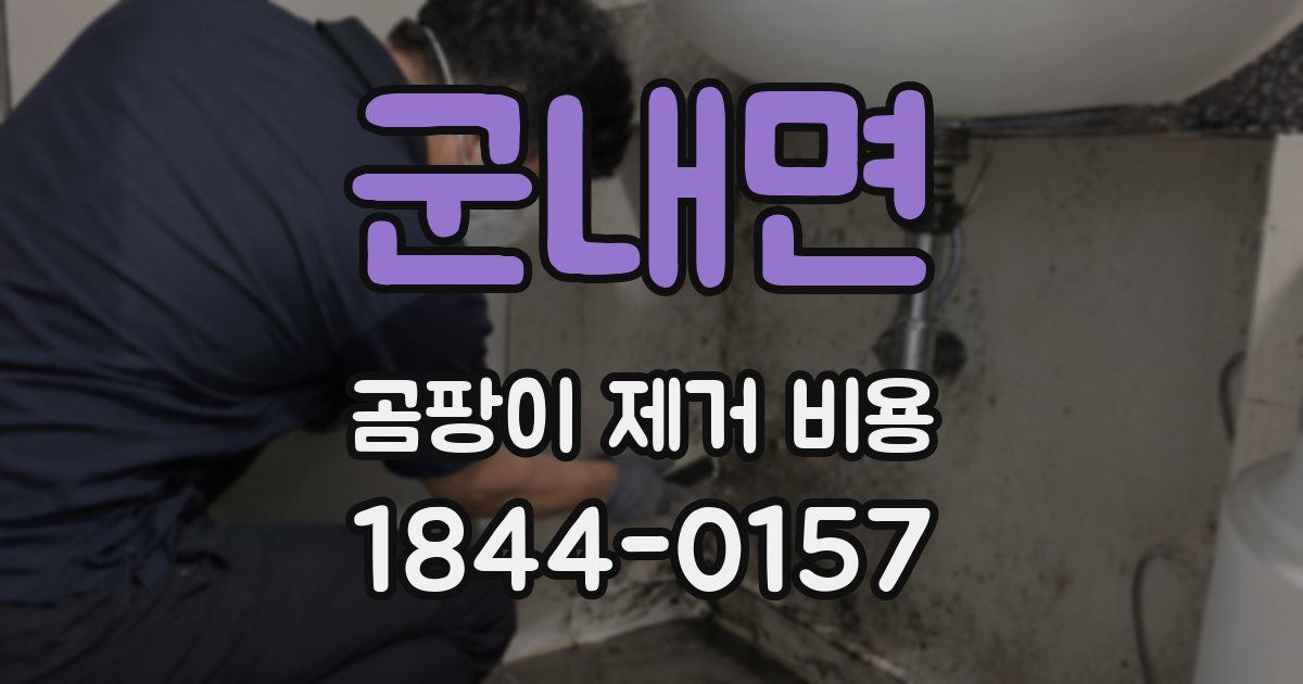 군내면 곰팡이 제거 비용
