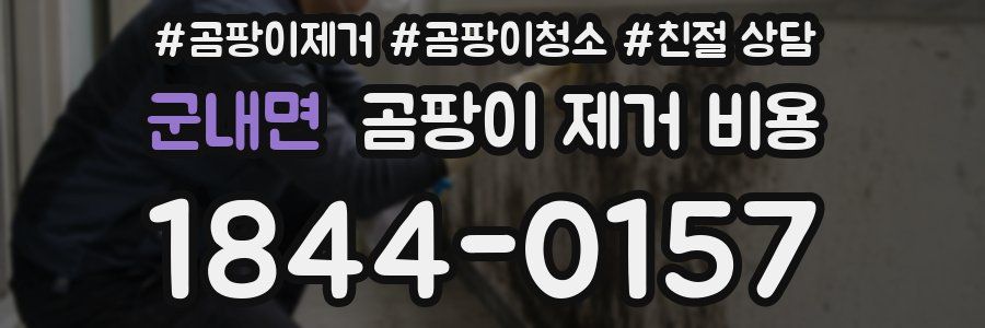 군내면 곰팡이 제거 비용