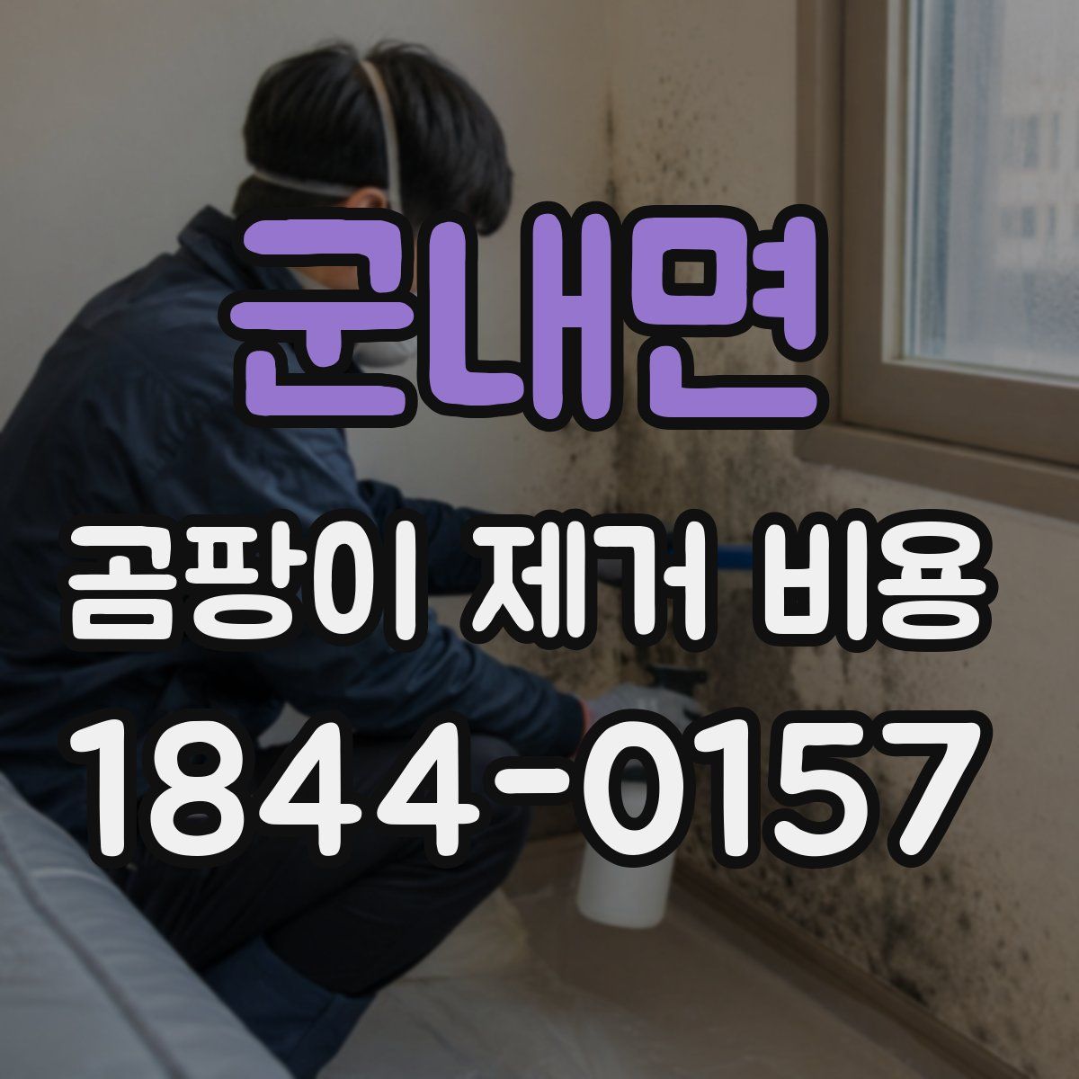 군내면 곰팡이 제거 비용