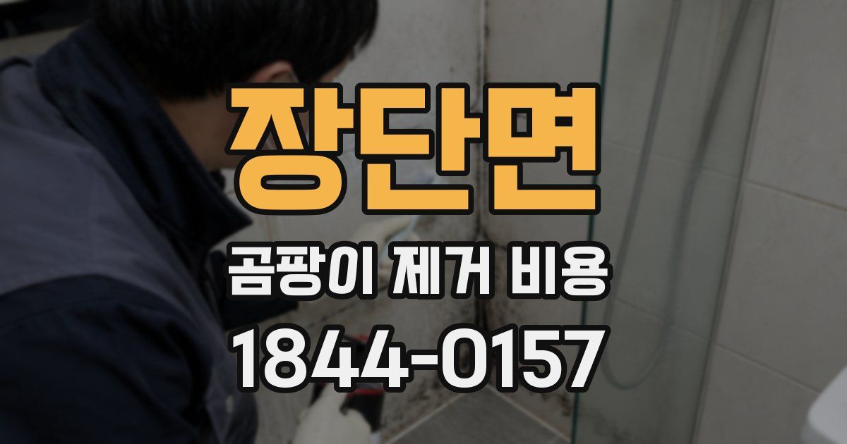 장단면 곰팡이 제거 비용