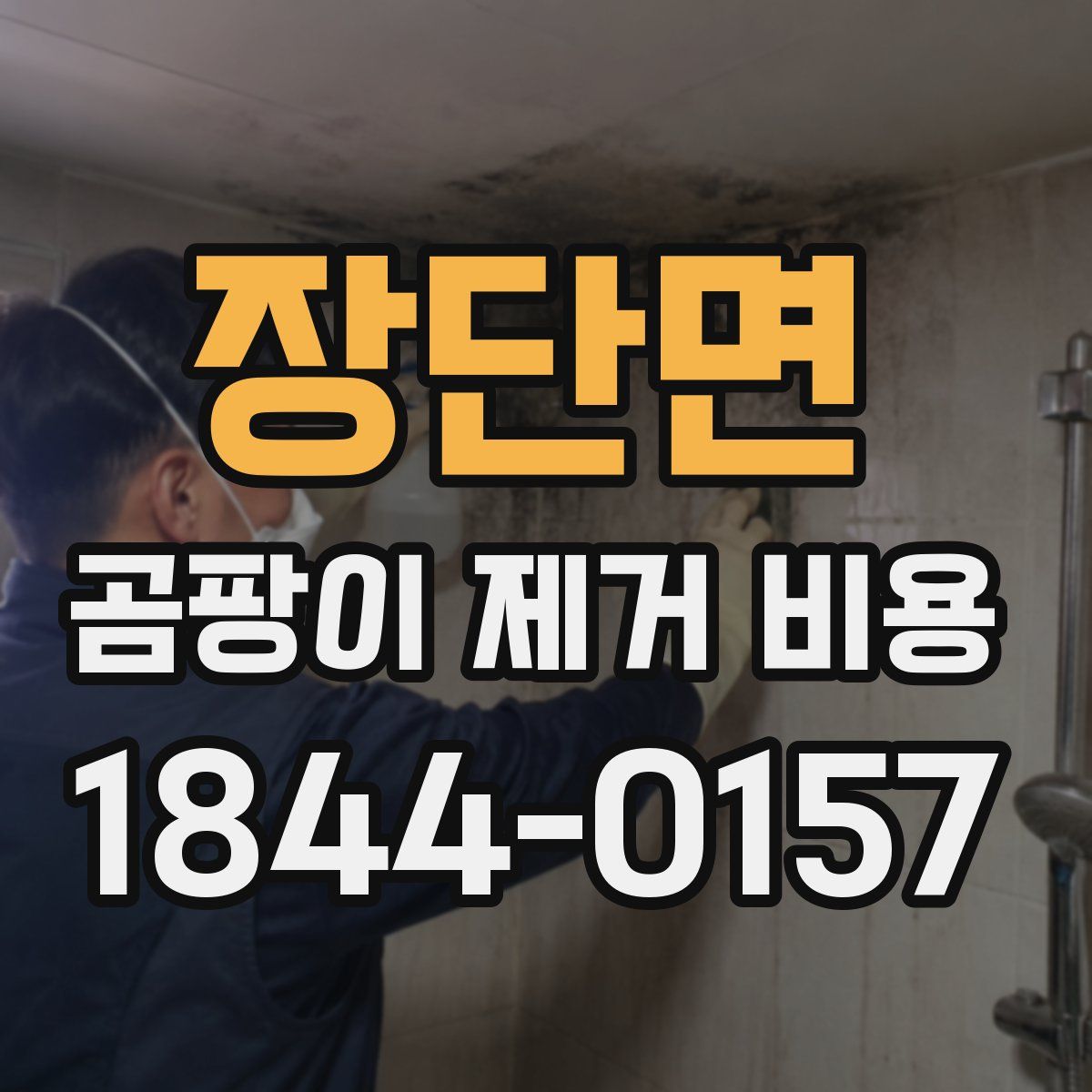 장단면 곰팡이 제거 비용