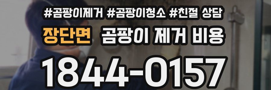 장단면 곰팡이 제거 비용
