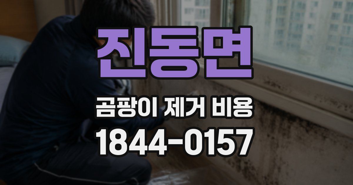 진동면 곰팡이 제거 비용