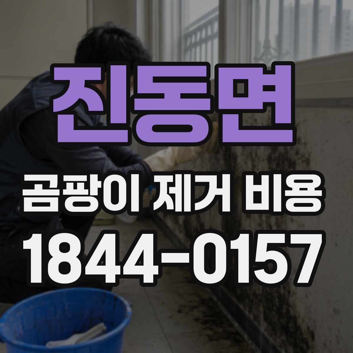 진동면 곰팡이 제거 비용