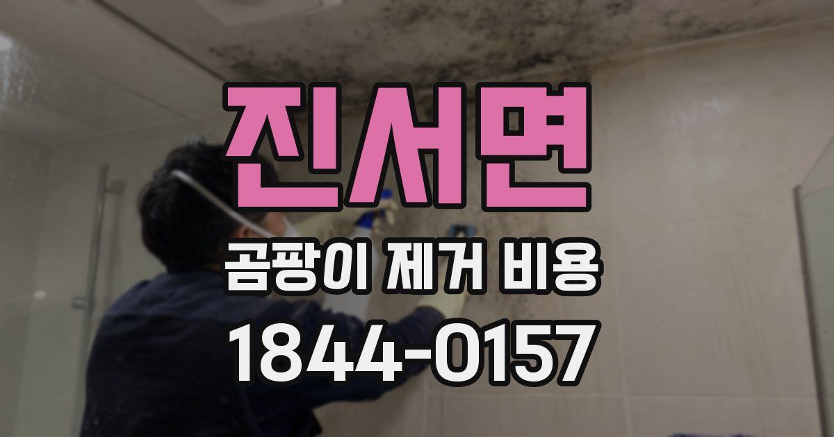 진서면 곰팡이 제거 비용