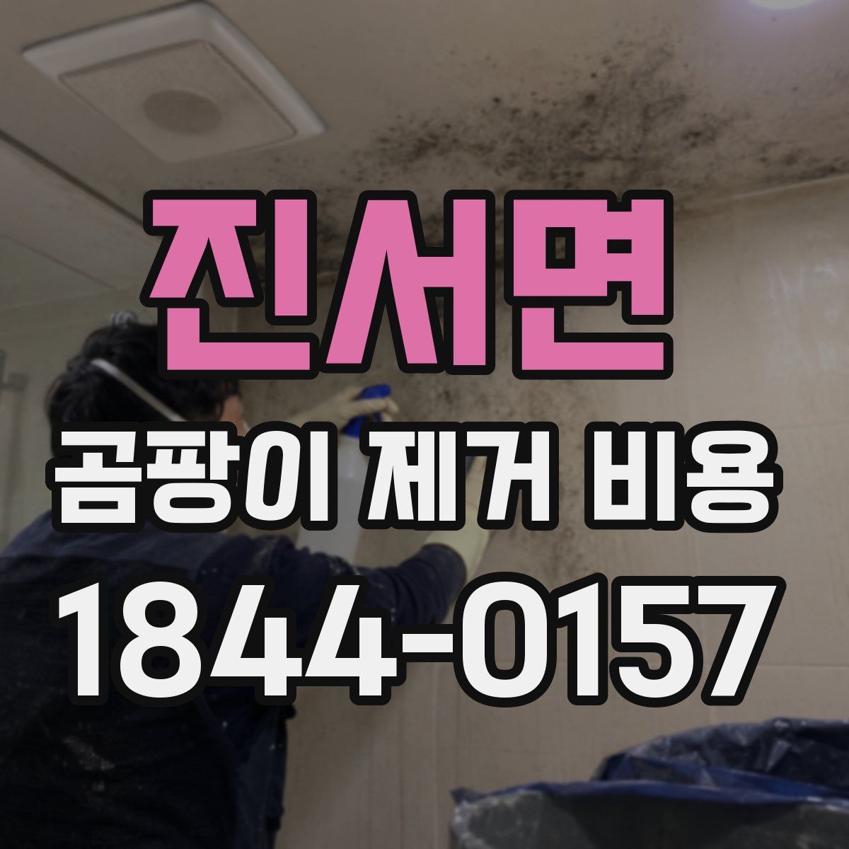 진서면 곰팡이 제거 비용