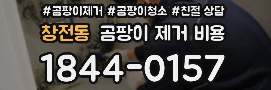 창전동 곰팡이 제거 비용