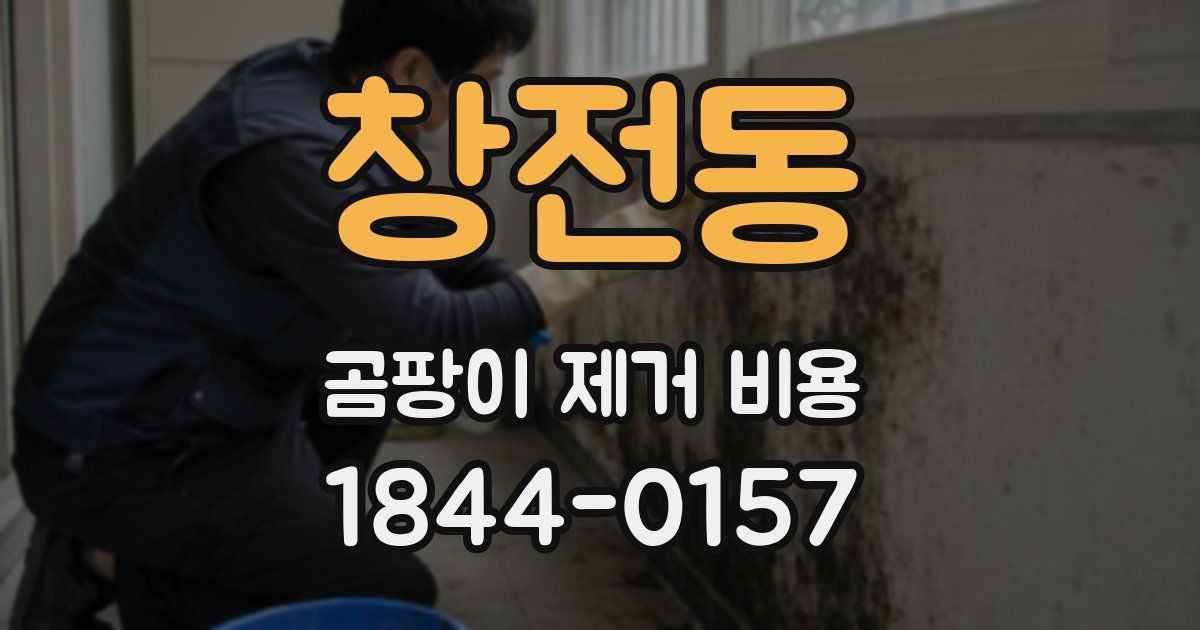 창전동 곰팡이 제거 비용