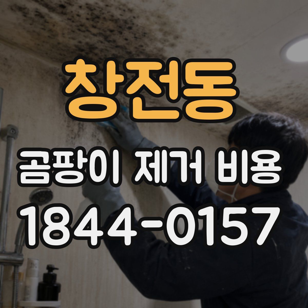 창전동 곰팡이 제거 비용