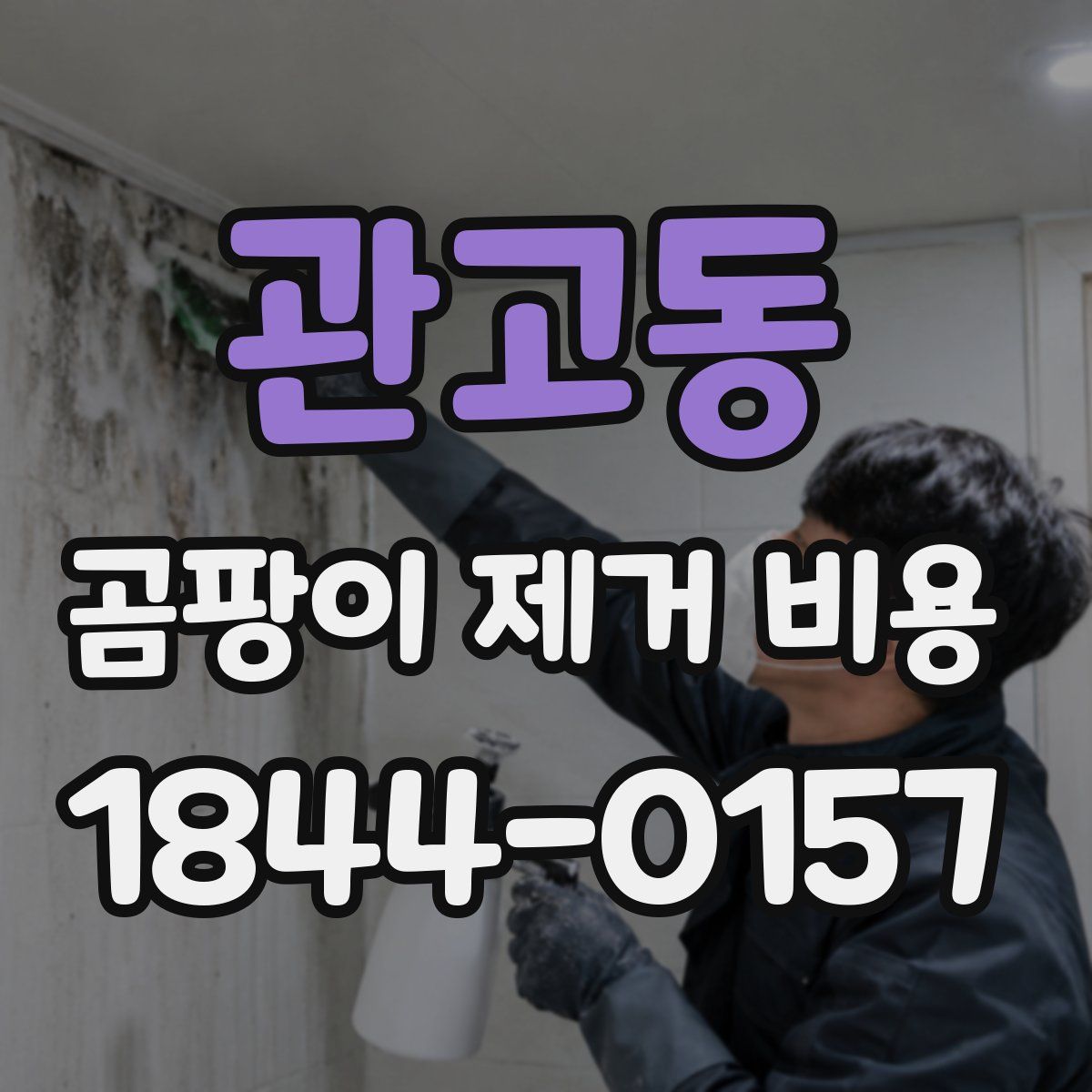 관고동 곰팡이 제거 비용