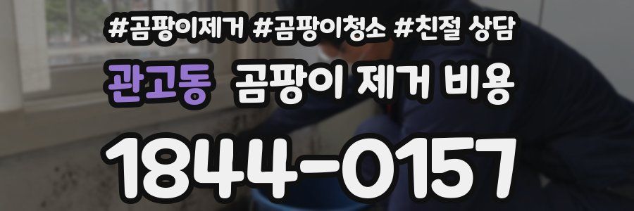 관고동 곰팡이 제거 비용