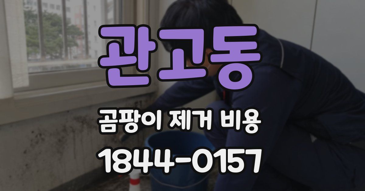 관고동 곰팡이 제거 비용