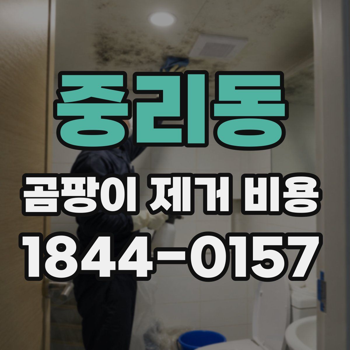 중리동 곰팡이 제거 비용