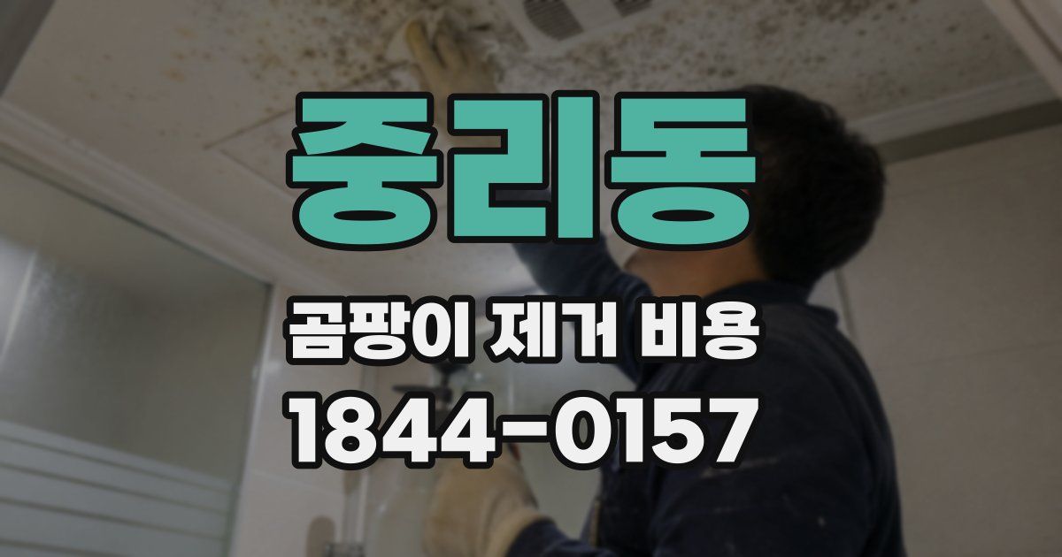 중리동 곰팡이 제거 비용