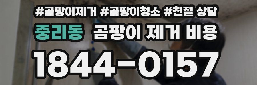 중리동 곰팡이 제거 비용