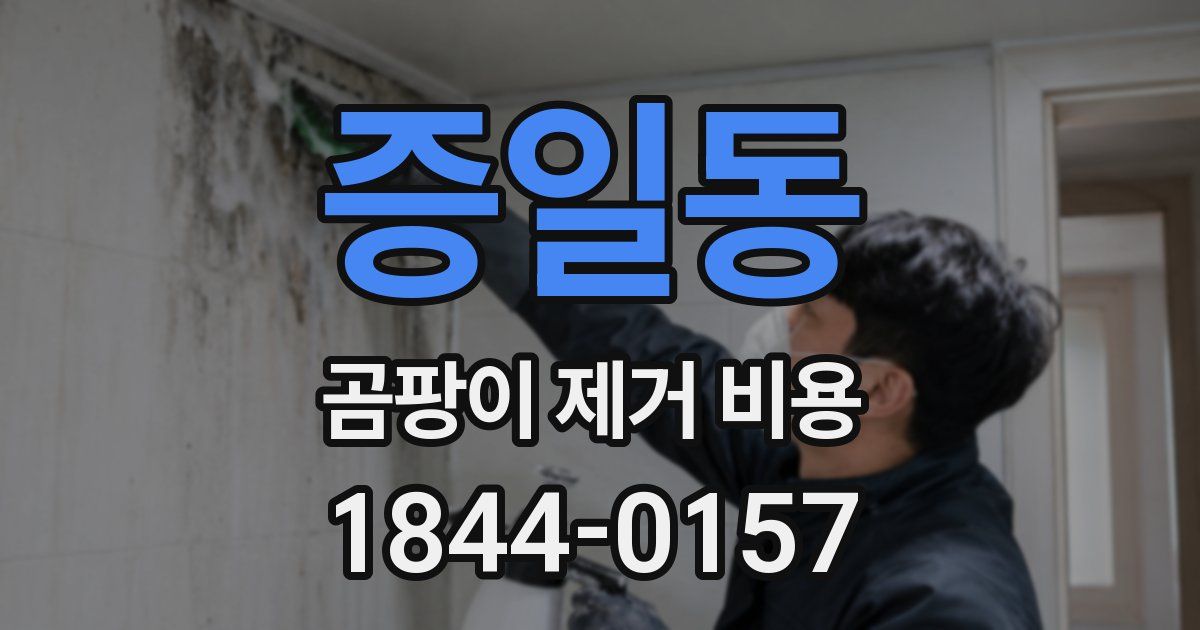 증일동 곰팡이 제거 비용