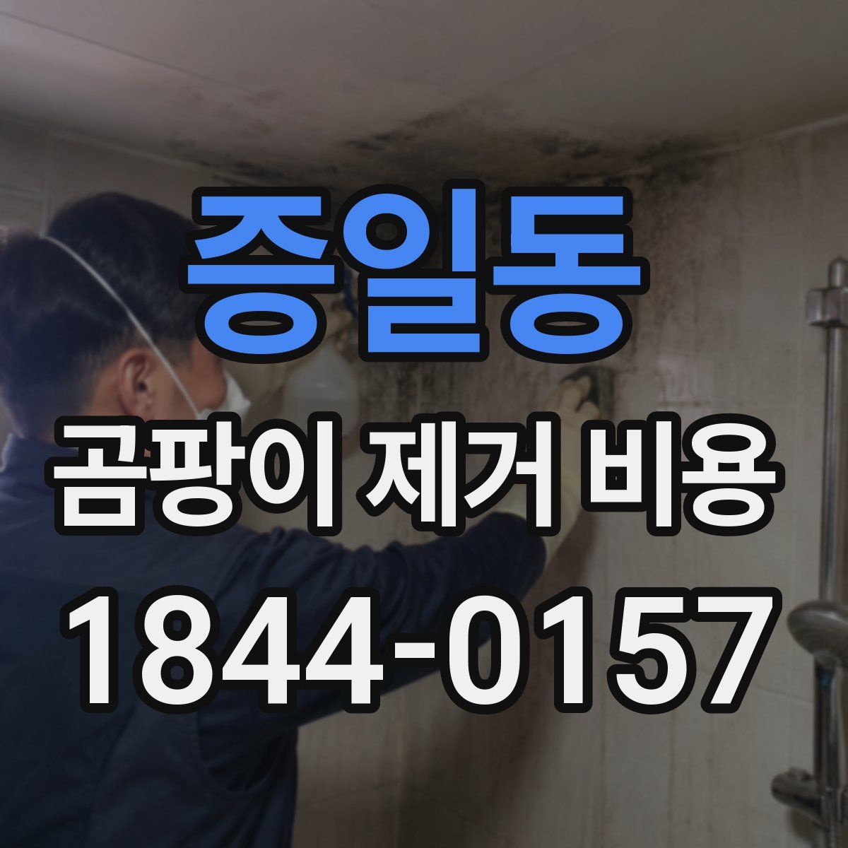 증일동 곰팡이 제거 비용