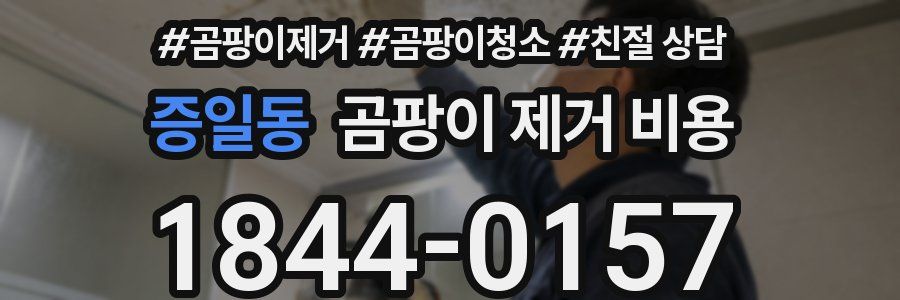 증일동 곰팡이 제거 비용