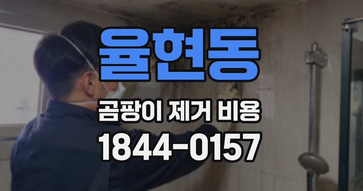 율현동 곰팡이 제거 비용